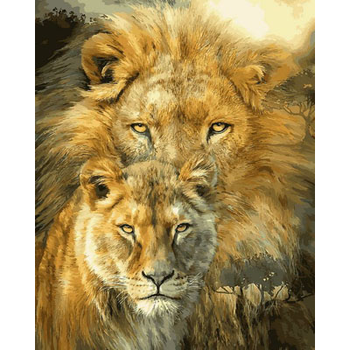 Картина по номерам (раскраска) 40х50 - Львицы ожидают льва