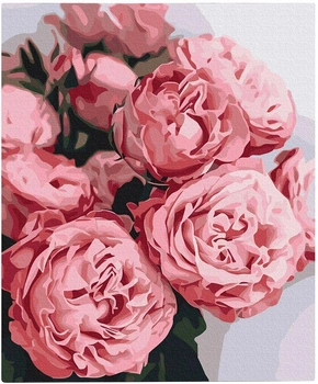 Картина за номерами Orner Півонієподібні троянди 40х50 см (orner-1414)