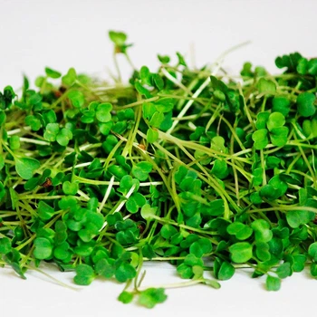 Семена микрозелени Agrocity Руккола широколистная (культурная) 50 г