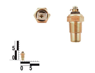 Датчик температури води (під гвинт) ТМ-100В