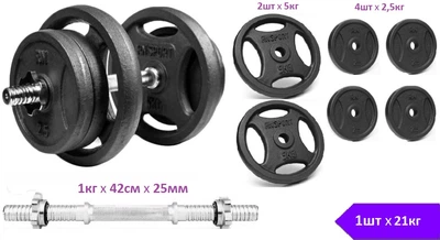 Гантель разборная 21 кг чугунная RN-Sport (RN_QTR21) металлический хромированный гриф 42см х 25мм