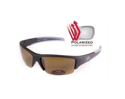 Темные очки с поляризацией BluWater Daytona-2 polarized (brown) (4ДЕЙТ2-50П)