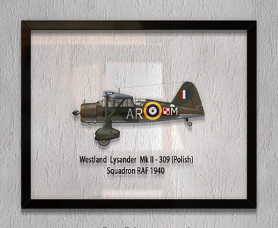 Принт на стекле Artel «Самолет Westland Lysander Mk. II 309 Польская Эскадрилья 1940 год» 36 x 28см