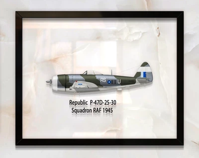 Принт на стекле Artel «Истребитель-бомбардировщик Republic P-47D Thunderbolt 30 Эскадрилья 1945 год» 61 x 46см