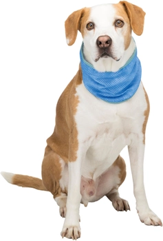 Бандана охлаждающая для собак Trixie L 38–52 см (4047974301388)