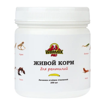 Живой корм для рептилий - Огнёвка пчелиная 250 шт. Ладья-2