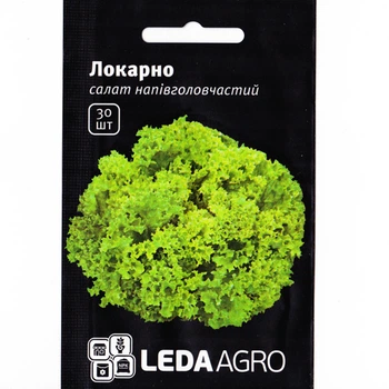 Салат Локарно 30 шт LedaArgo насіння