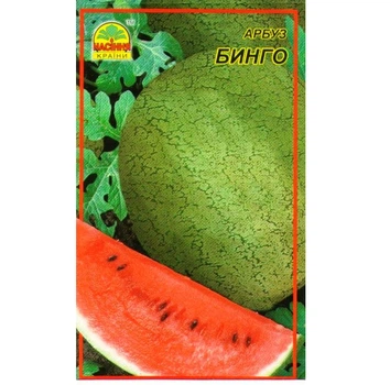Семена арбуза Бинго 1 г (Насіння країни)