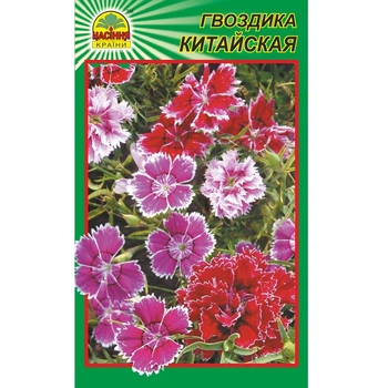 Семена Гвоздика китайская 0,2 г (Насіння країни)