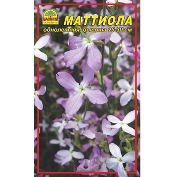 Насіння квітів Матіола (нічна фіалка) 5 г