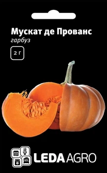 Мускат де Прованс насіння гарбуз Leda Agro 5 шт