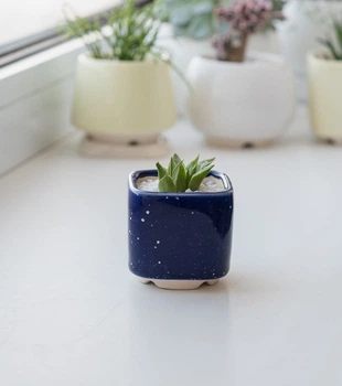 Керамический горшок для кактусов Mini Plant размер XS 5,2х5,1см Квадратный Синий Клеопатра