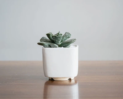 Керамический горшок для кактусов Mini Plant маленького размера 6,4х6,5см Квадратный Белый