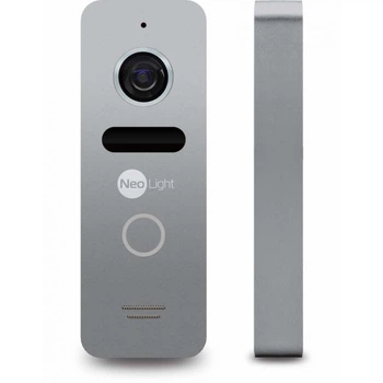 Вызывная панель NeoLight Solo Silver (1907)