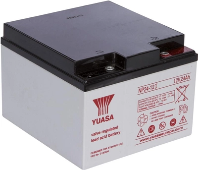 Аккумуляторная батарея для ИБП Yuasa 12V 24Ah (NP24-12)