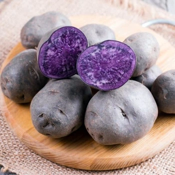 Семенной картофель "Французский трюфель" (1 репродукция, для пюре, запекания) 0,5 кг LeGarden