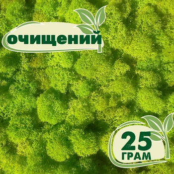 Очищений стабілізований мох ягель Зелений весняний 25 грам