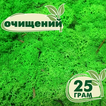 Очищений стабілізований мох ягель Зелений трав'яний світлий 25 грам