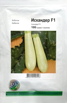 Семена кабачок Искандер F1 100 семян Seminis 51157