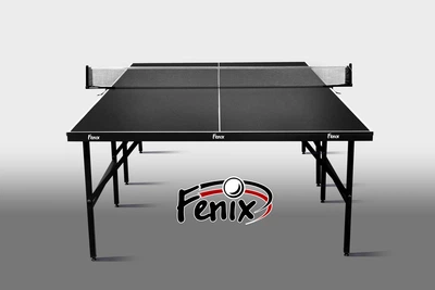 Теннисный стол «Феникс» Basic Sport M19 Черный