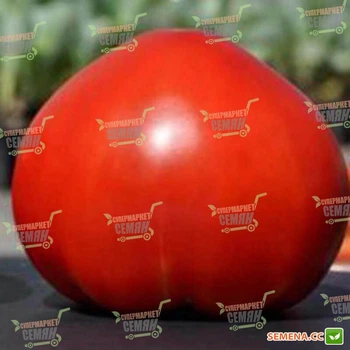 Семена томатов Clause Сарра f1 250 семян