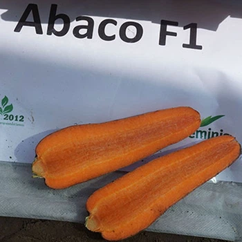 Семена моркови Seminis Абако f1 (abaco f1) (2,0-2,2) 200000 семян