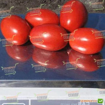 Семена томатов Clause Дино f1 1000 семян