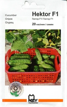 Семена огурец Гектор F1 20 семян Nunhems 39432