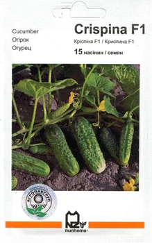 Семена огурец Криспина F1 15 семян Nunhems 1932