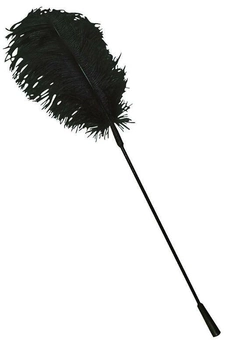 Палочка с перьями Feder цвет черный (14221005000000000)