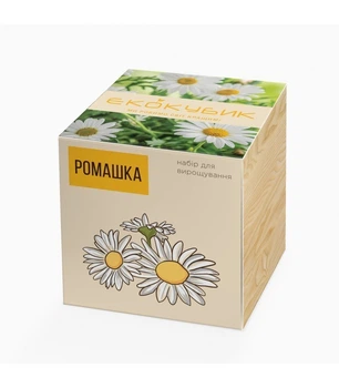 Подарочный набор для выращивания растений ЭКОКУБ "Ромашка"