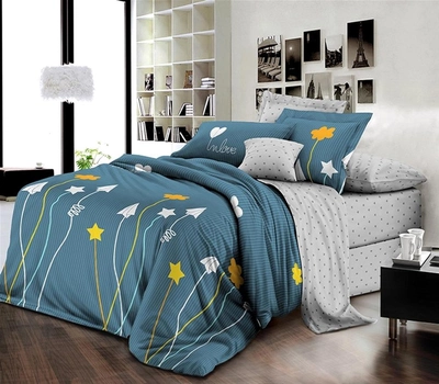 Комплект постельного белья MirSon Бязь Premium 17-0420 Teenager Семейный (2 x 143x210) (2200002949521)