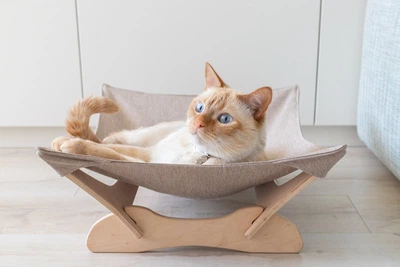 Лежак-гамак для котів white+beige 55х45х18