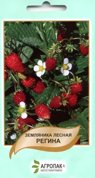 Семена земляника Регина 0,1 г Legutko 39571