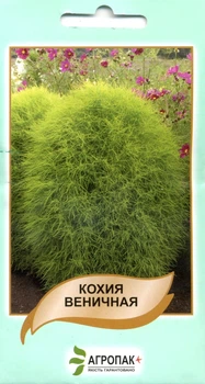 Семена Кохия веничная 0,1 г Legutko 35046