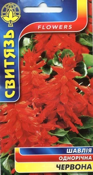Семена цветы Шавлия красная 0,1 г СВИТЯЗЬ 678