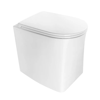 Унитаз пристенный, напольный NoRim (безободковый) AXA DP, с сиденьем Soft Close Slim (8401401+AF8401)