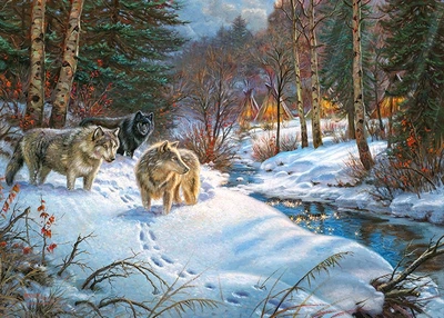 Пазлы CherryPazzi Долина теней, 1000 элементов, 50x70 см, 30301