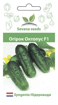 Огурец Октопус F1 50 шт. пчелоопыляемый Syngenta
