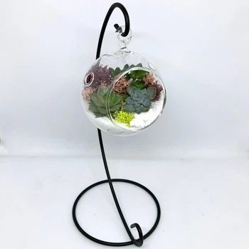 Флорариум подвесной Garden mix Шарик