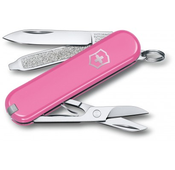 Складной нож Victorinox CLASSIC SD Colors 0.6223.51G