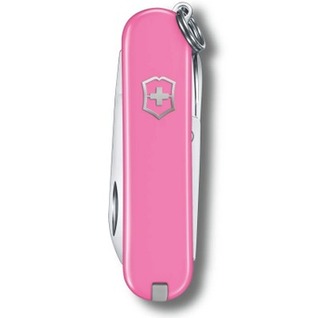 Складной нож Victorinox CLASSIC SD Colors 0.6223.51G