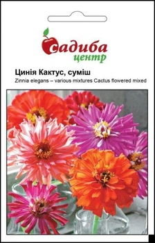 Цинія Hem Zaden Кактус, суміш, 0,5 г Садиба Центр