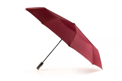 Зонт складной 10-ти спицевый полный автомат Krago бордовый