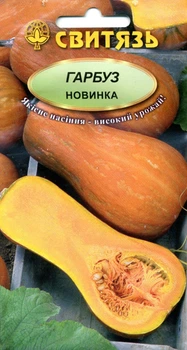Насіння гарбуз Новинка 15 насінин СВИТЯЗЬ 15015