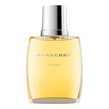 burberry classic 100ml