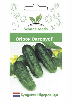 Огурец Октопус F1 20 шт. пчелоопыляемый Syngenta