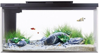 Аквариум Petkit Smart Fish Tank with The Stone Park 10 л (6973293800814)