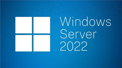 ПО Microsoft Windows Svr Std 2022 64Bit English 1pk DSP OEI DVD 24 Core (P73-08346)