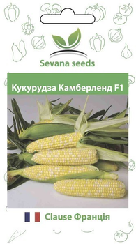 Насіння кукурудзи Камберленд F1 50 шт. суперсолодка Clause